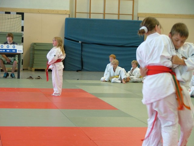 Judosafari 2010