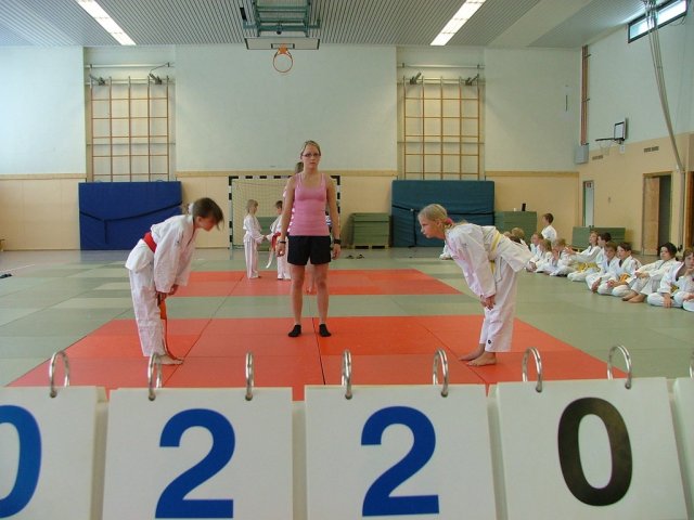 Judosafari 2010