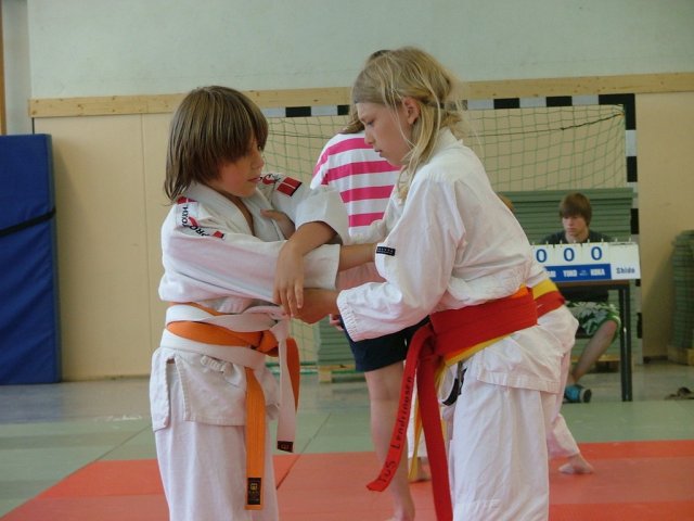 Judosafari 2010