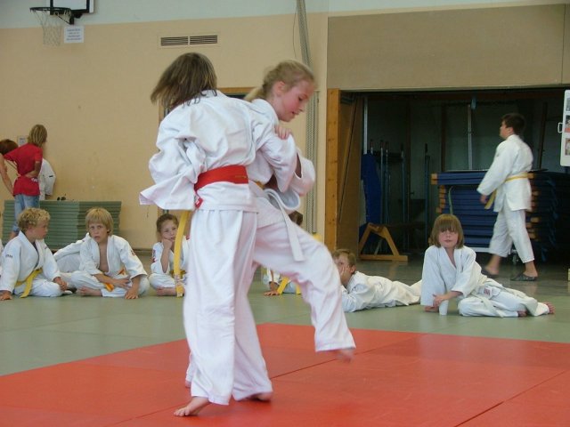 Judosafari 2010