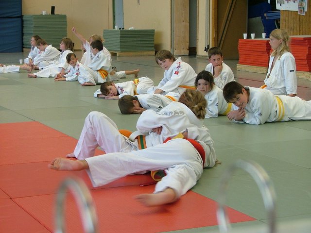 Judosafari 2010